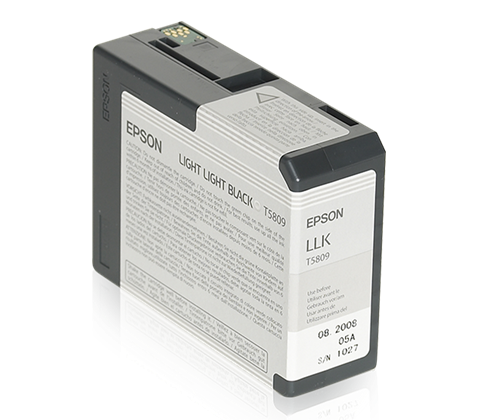 Epson T580 Light Light Black (80 ml)